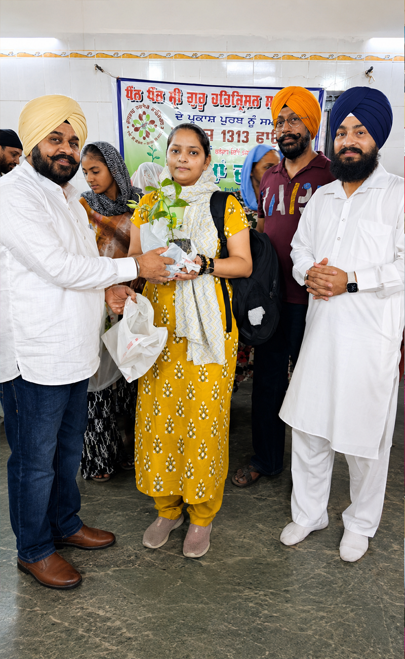 Tree Plantation